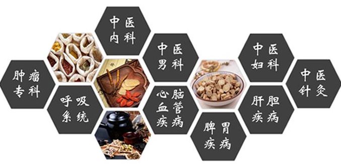 中西医诊疗