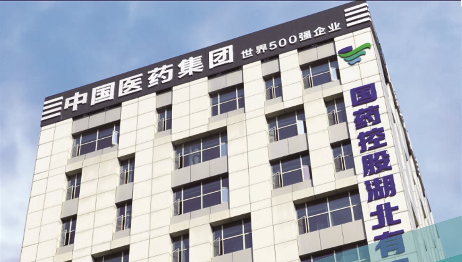国药控股湖北大楼